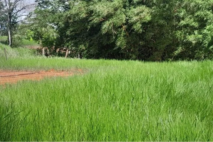 Land for sale in Torio, Veraguas