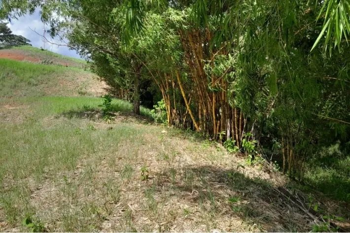 Land for sale in Torio, Veraguas