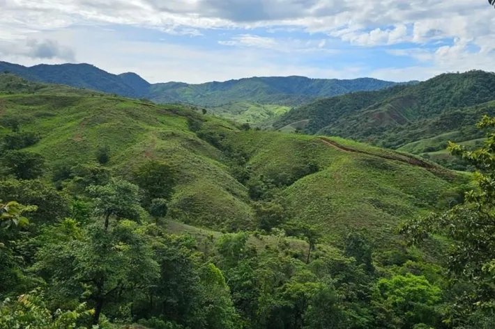 Venta de terreno en Torio, Veraguas