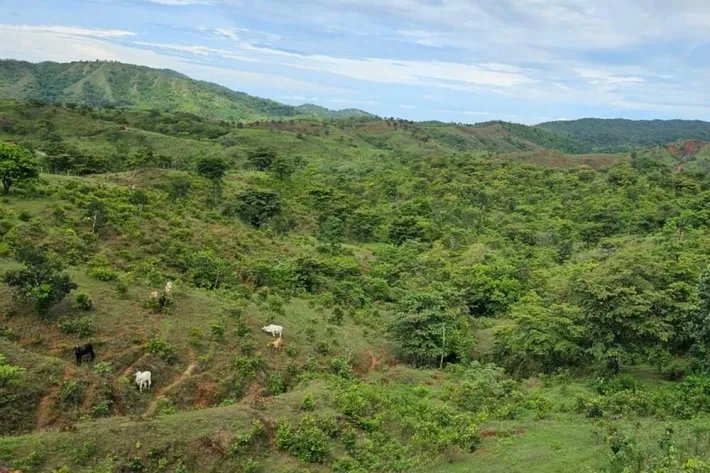 Venta de terreno en Torio, Veraguas