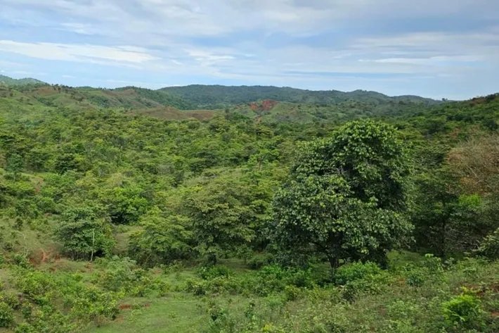 Venta de terreno en Torio, Veraguas