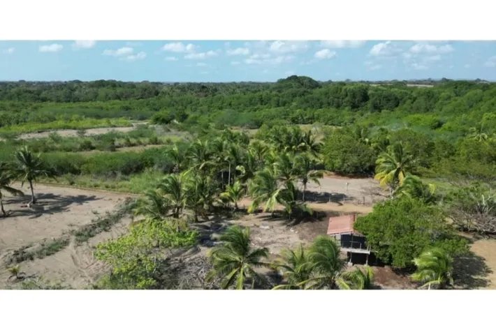 Venta de lote de playa totalmente titulado en Playa Rincón, Pedasí