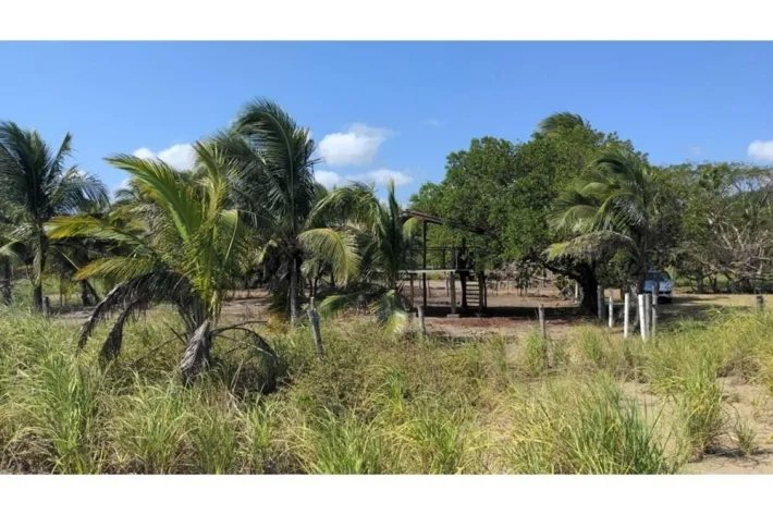 Venta de lote de playa totalmente titulado en Playa Rincón, Pedasí