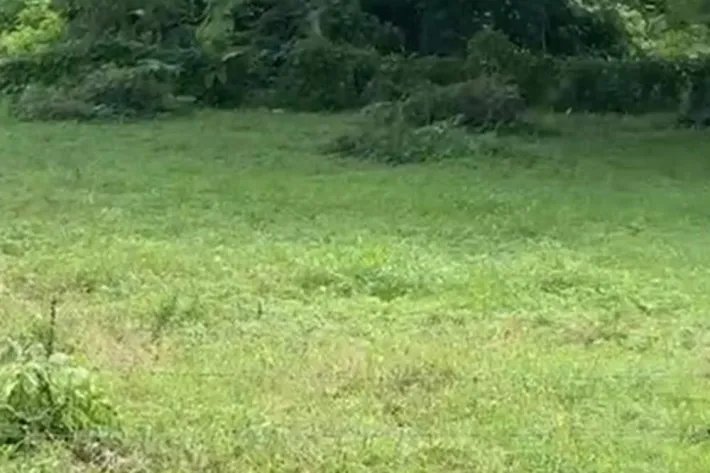 Venta de Terrenos en Guanico Abajo, Tonosí