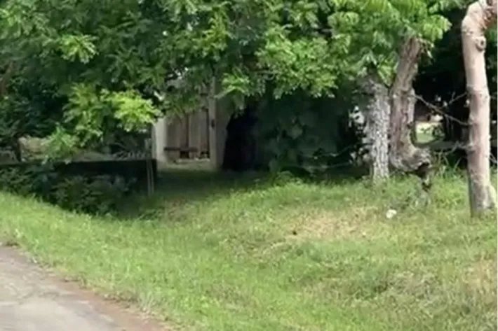 Venta de Terrenos en Guanico Abajo, Tonosí