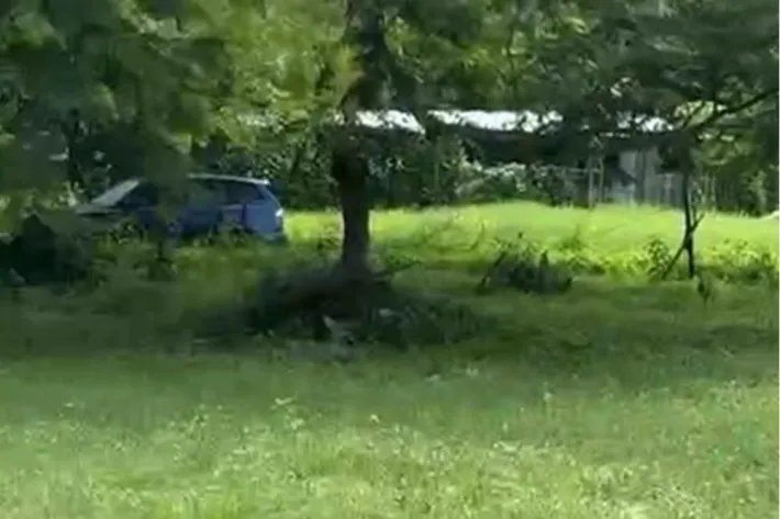 Venta de Terrenos en Guanico Abajo, Tonosí