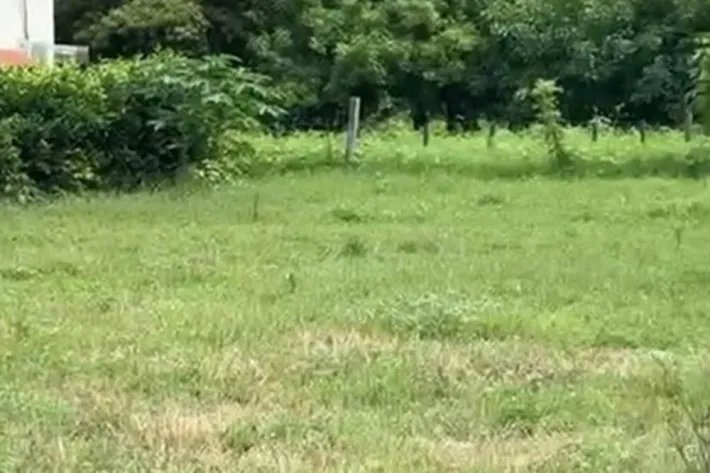 Venta de Terrenos en Guanico Abajo, Tonosí