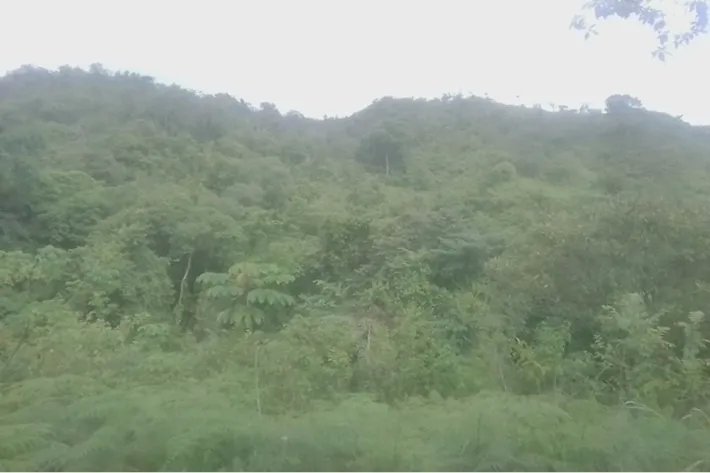 Se vende terreno en Cativón, Soná, Veraguas