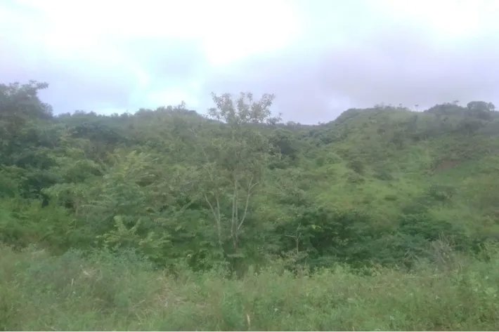 Se vende terreno en Cativón, Soná, Veraguas