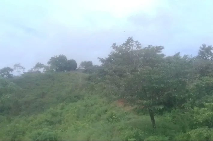 Se vende terreno en Cativón, Soná, Veraguas