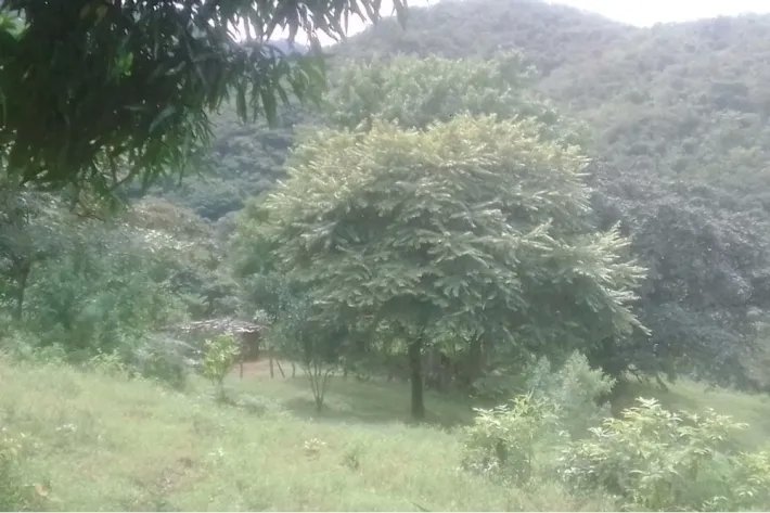 Se vende terreno en Cativón, Soná, Veraguas