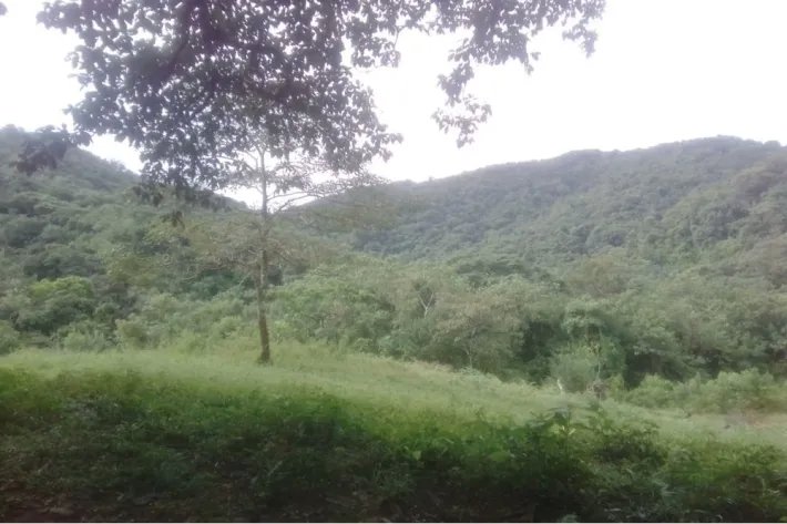 Se vende terreno en Cativón, Soná, Veraguas