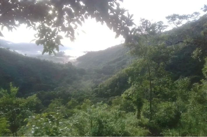 Se vende terreno en Cativón, Soná, Veraguas