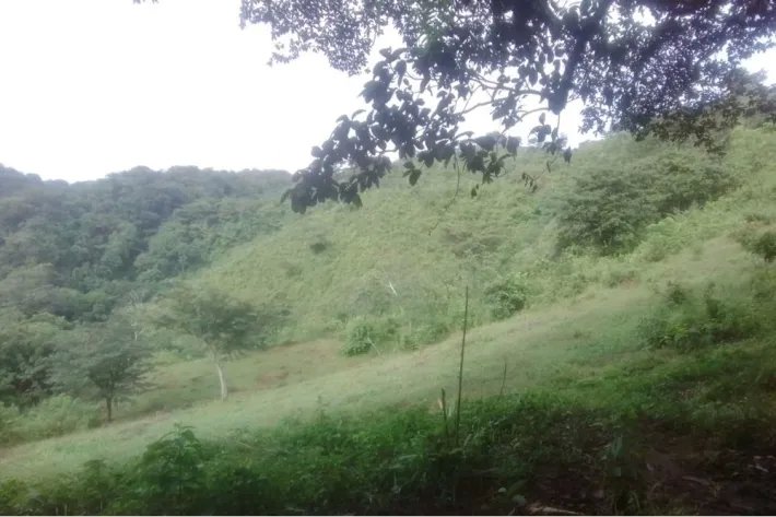 Se vende terreno en Cativón, Soná, Veraguas