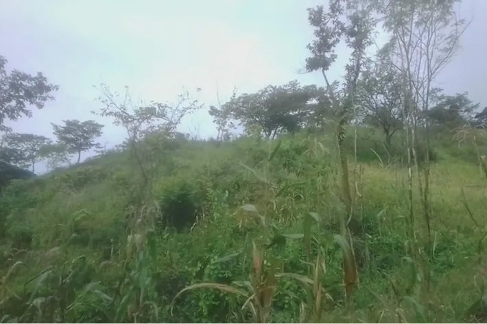 Se vende terreno en Cativón, Soná, Veraguas