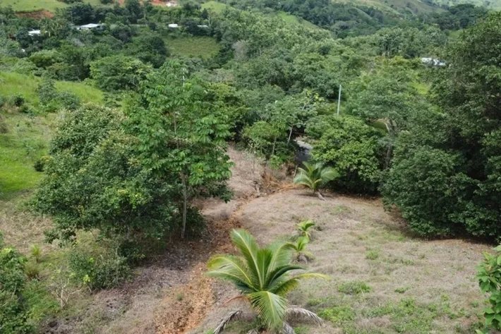 Venta de terreno en Tonosí, El Espavé