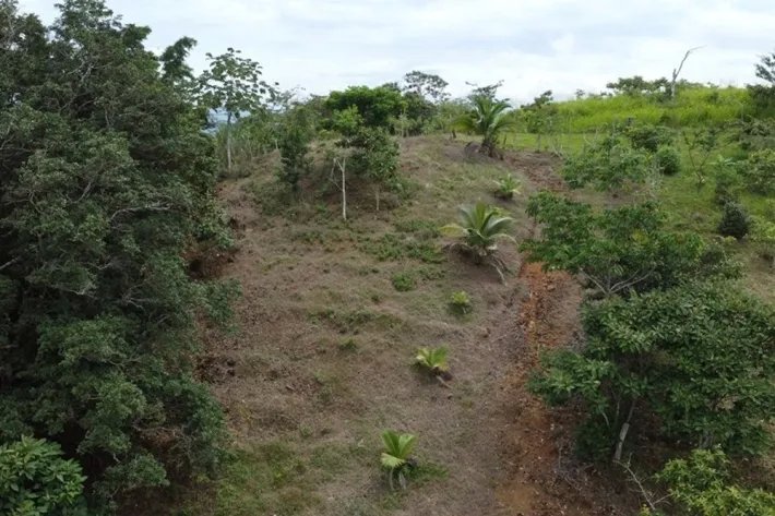 Land for sale in Tonosí, El Espavé