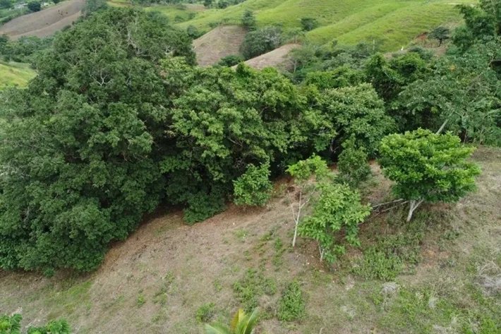 Land for sale in Tonosí, El Espavé