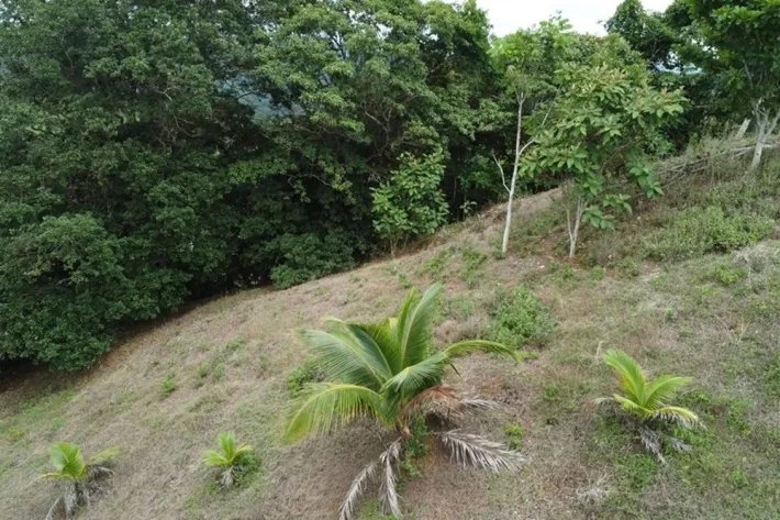 Land for sale in Tonosí, El Espavé