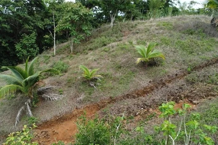 Land for sale in Tonosí, El Espavé