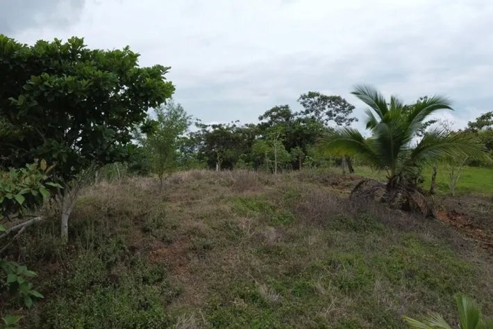 Land for sale in Tonosí, El Espavé