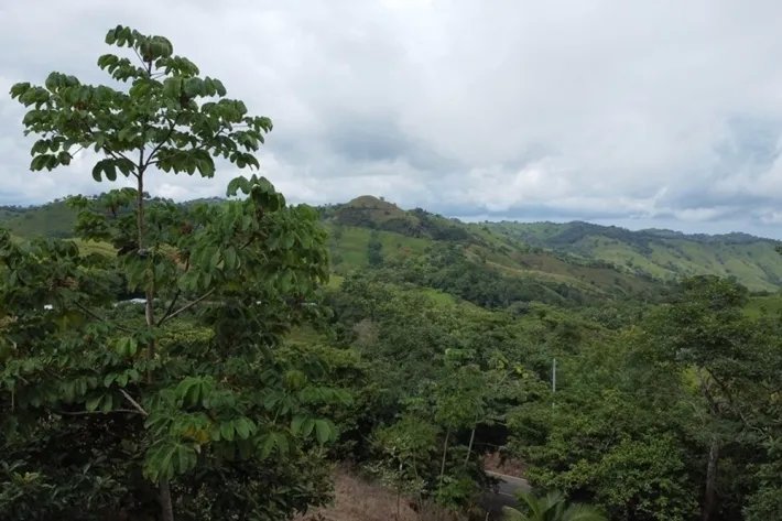 Land for sale in Tonosí, El Espavé