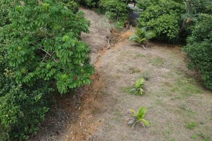 Land for sale in Tonosí, El Espavé