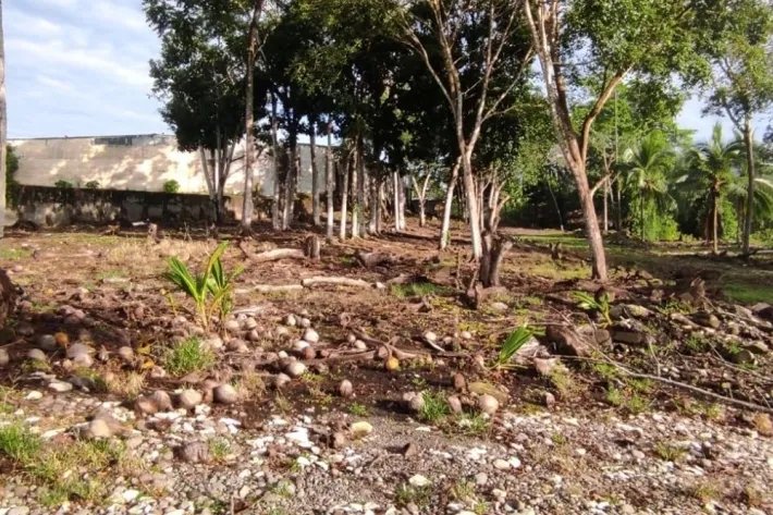 Venta de terreno en Paso Canoas, Frontera con Costa Rica, Panamá