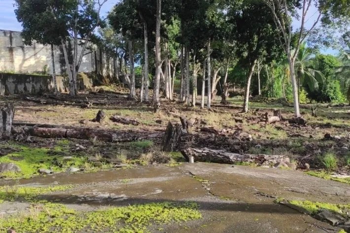 Venta de terreno en Paso Canoas, Frontera con Costa Rica, Panamá