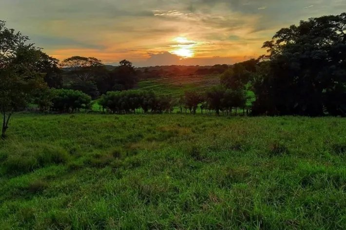 Venta de Lotes en Los Destiladeros, Pedasí