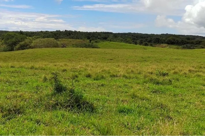 Venta de Lotes en Los Destiladeros, Pedasí