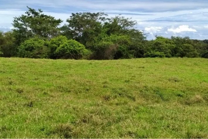 Venta de Lotes en Los Destiladeros, Pedasí