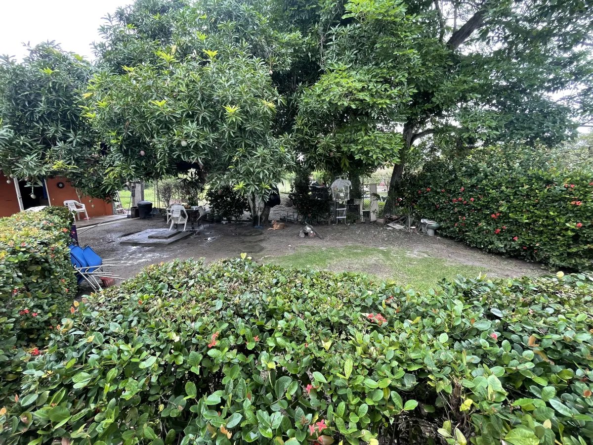 Single Family Detached For Sale in Nueva gorgona