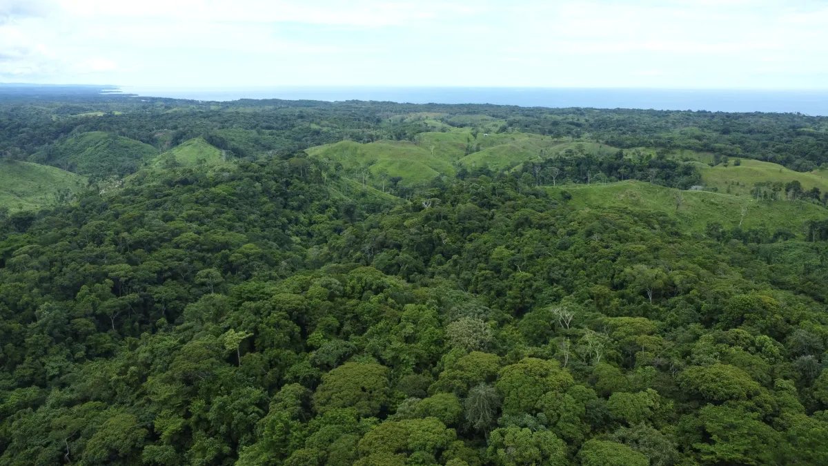 Venta de Terreno en Tonosí