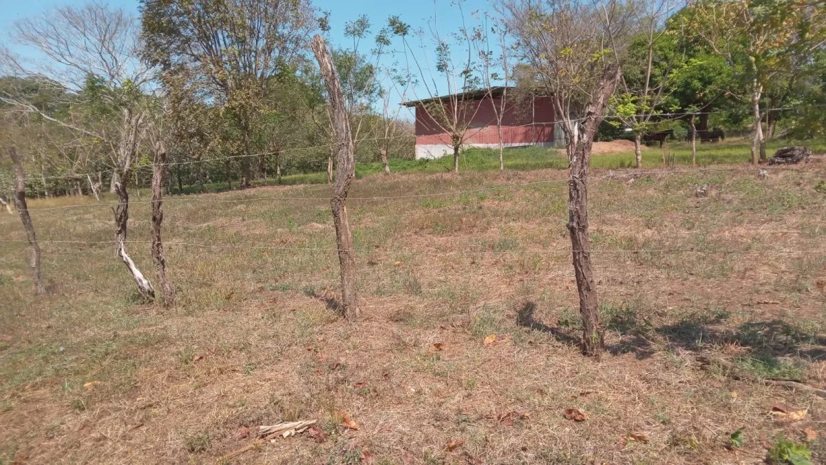 Se vende terreno en Pedasí