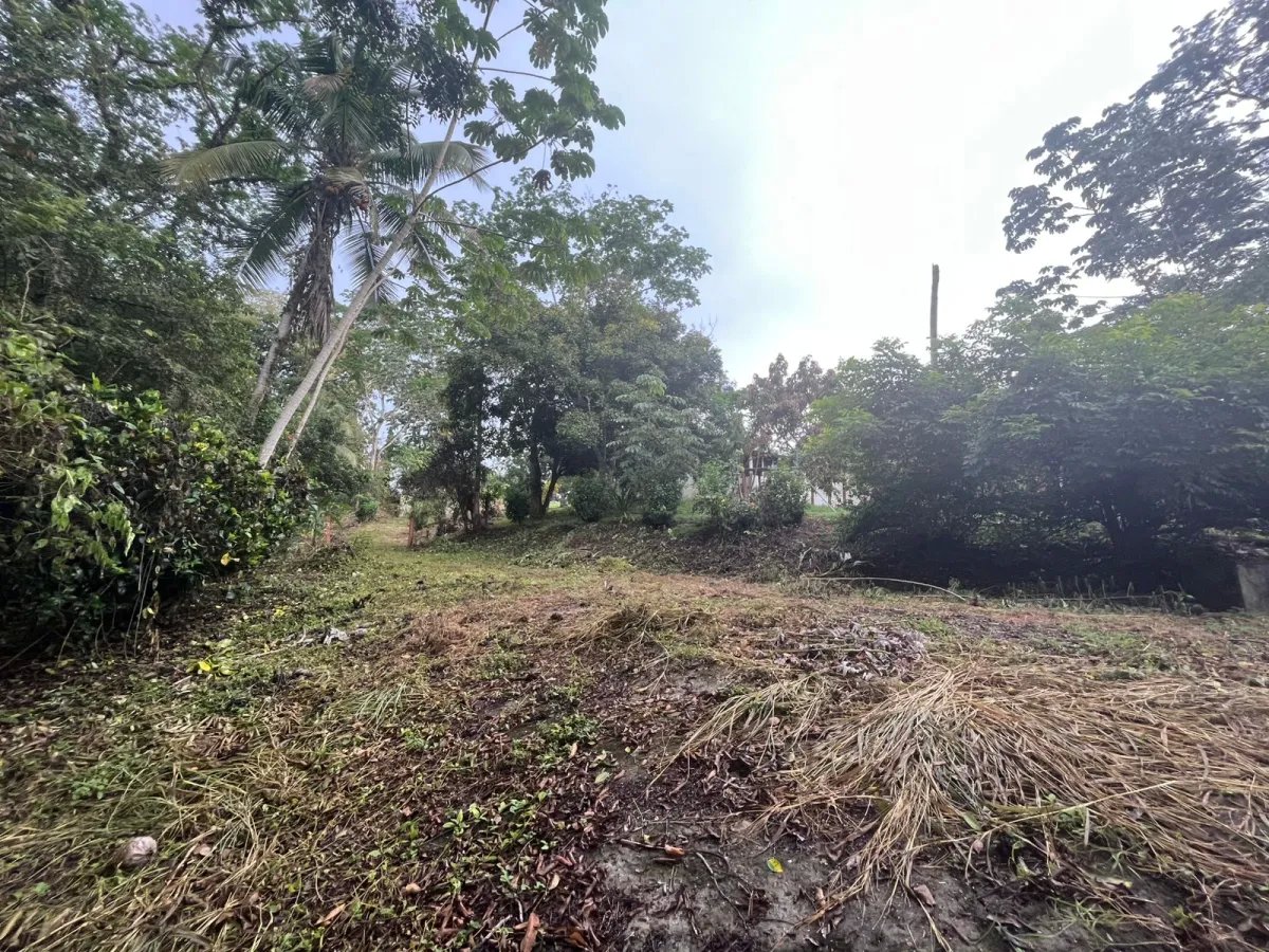 Se vende lote en Isla Verde, San Juan, Colón