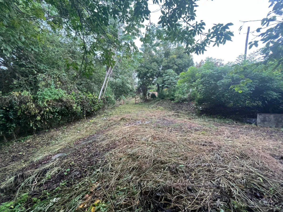 Se vende lote en Isla Verde, San Juan, Colón