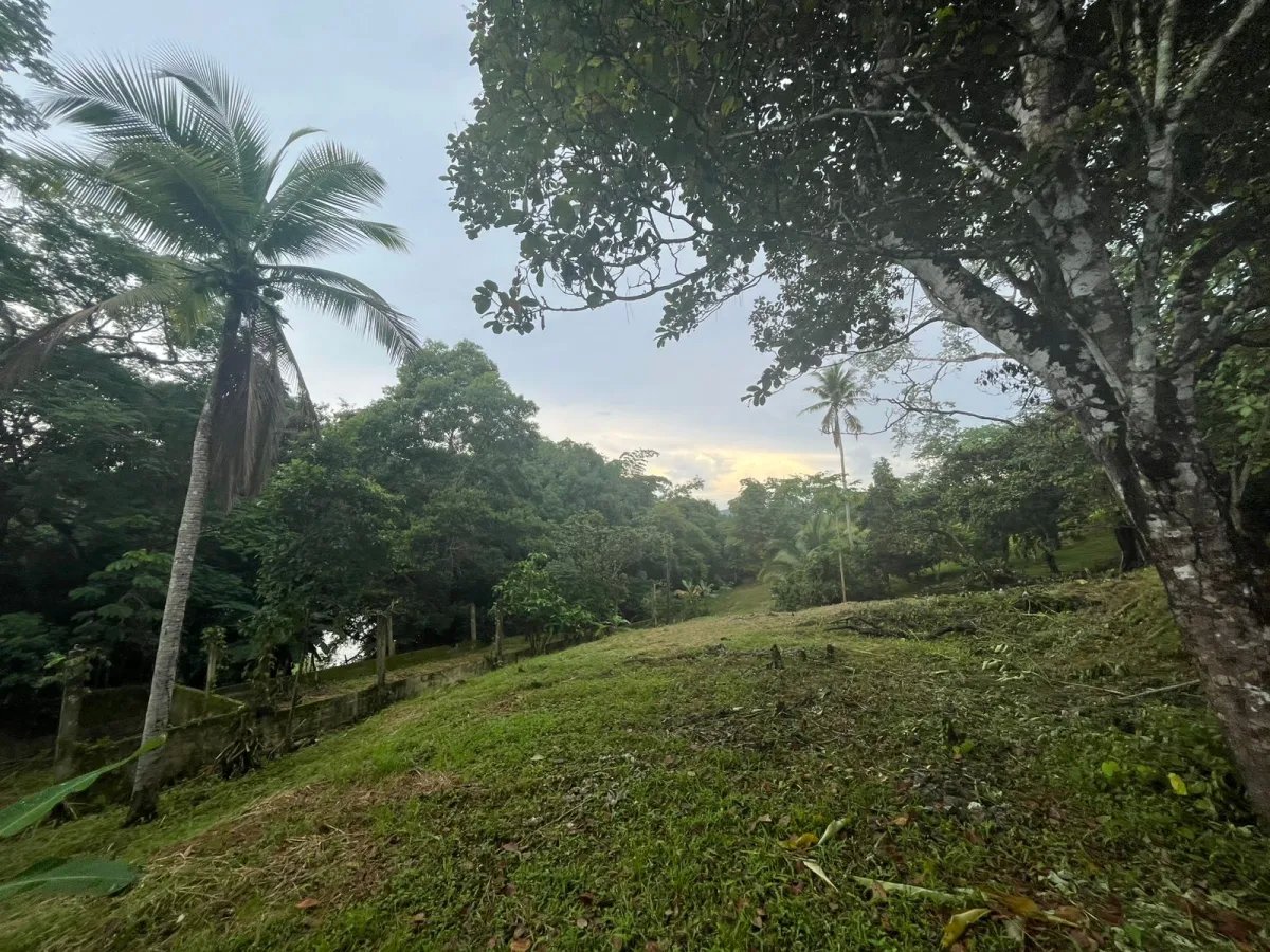 Unimproved Land For Sale in Isla Verde, calle Alcibiades Arosemena, San Juan, Colón