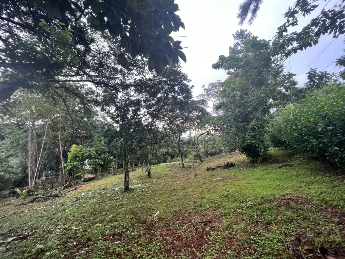 Unimproved Land For Sale in Isla Verde, calle Alcibiades Arosemena, San Juan, Colón