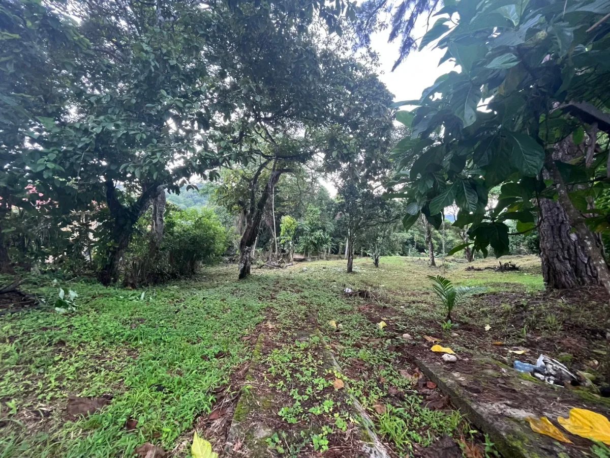 Unimproved Land For Sale in Isla Verde, calle Alcibiades Arosemena, San Juan, Colón
