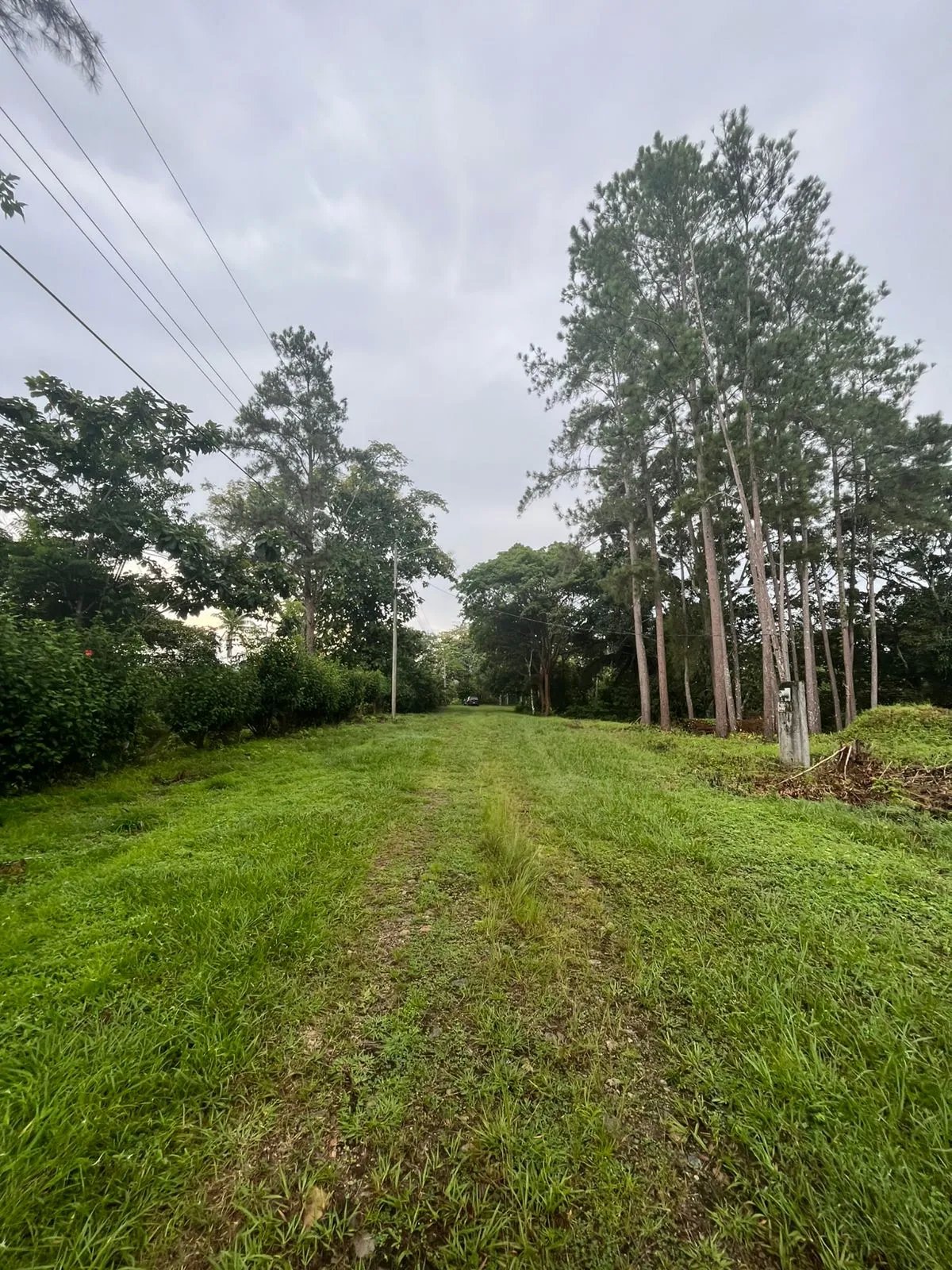 Unimproved Land For Sale in Isla Verde, calle Alcibiades Arosemena, San Juan, Colón