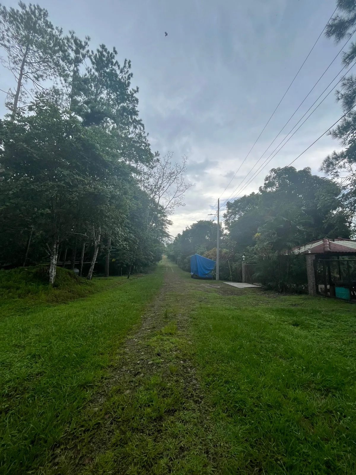 Unimproved Land For Sale in Isla Verde, calle Alcibiades Arosemena, San Juan, Colón