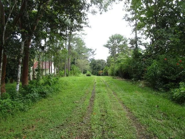 Unimproved Land For Sale in Isla Verde, calle Alcibiades Arosemena, San Juan, Colón