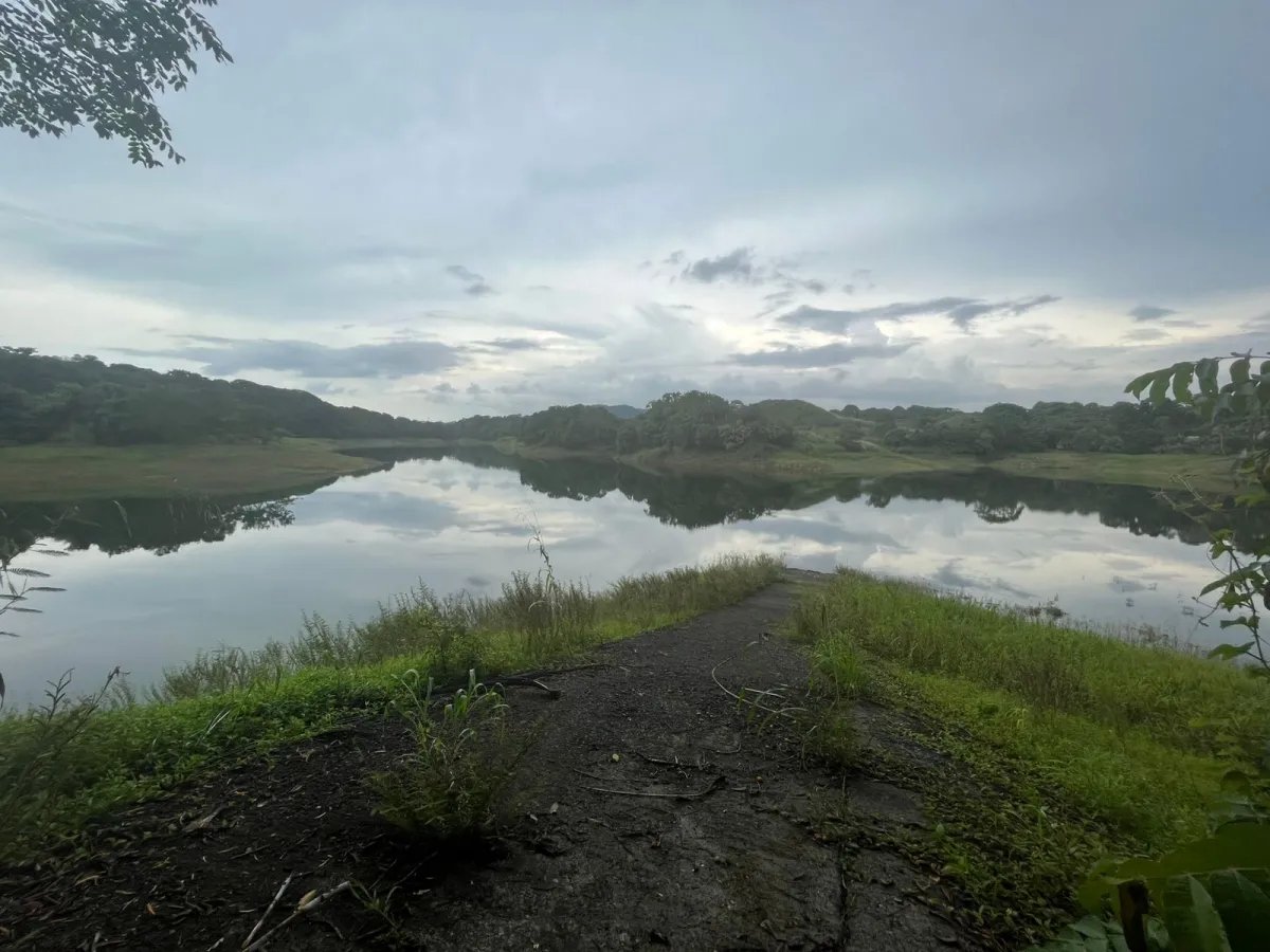 Unimproved Land For Sale in Isla Verde, calle Alcibiades Arosemena, San Juan, Colón