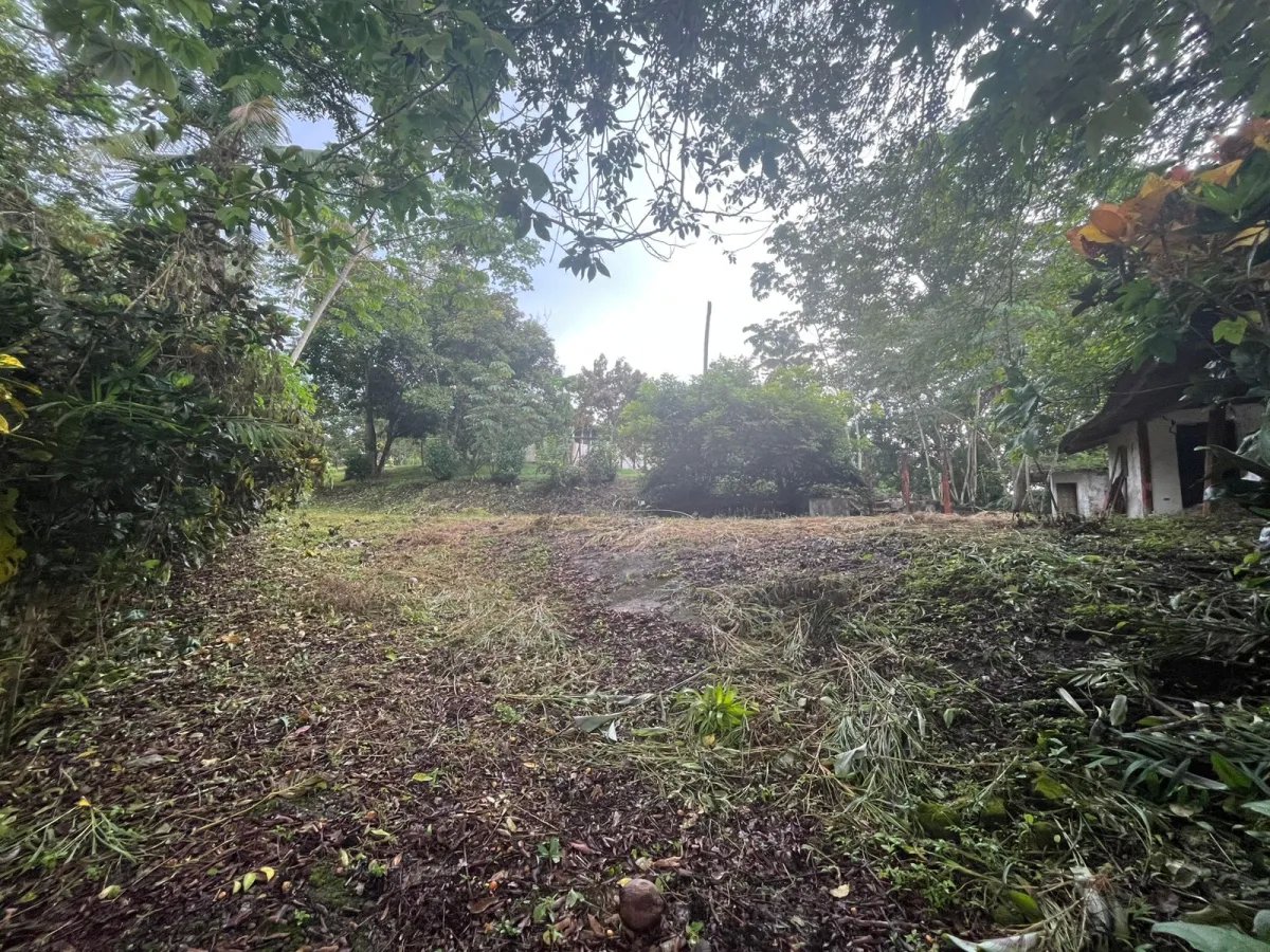 Unimproved Land For Sale in Isla Verde, calle Alcibiades Arosemena, San Juan, Colón