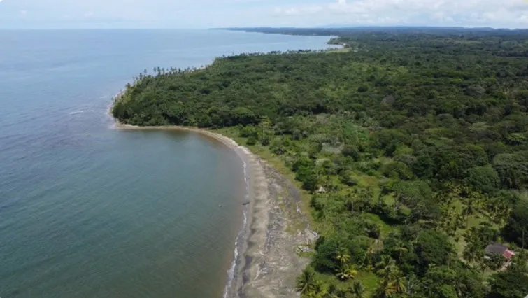 Unimproved Land For Sale in Achiote