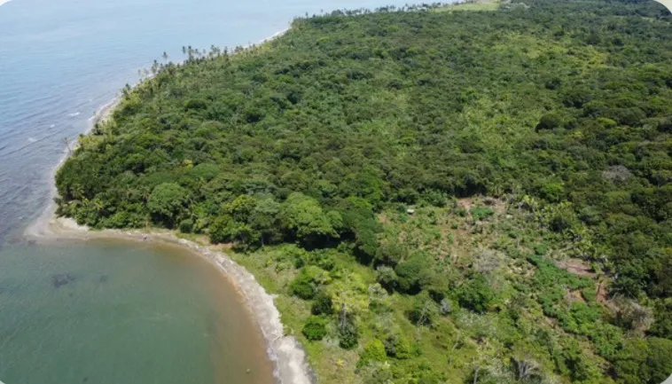 Unimproved Land For Sale in Achiote
