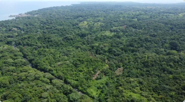Unimproved Land For Sale in Achiote
