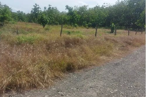 Venta de lote de terreno en Gorgona, Chame