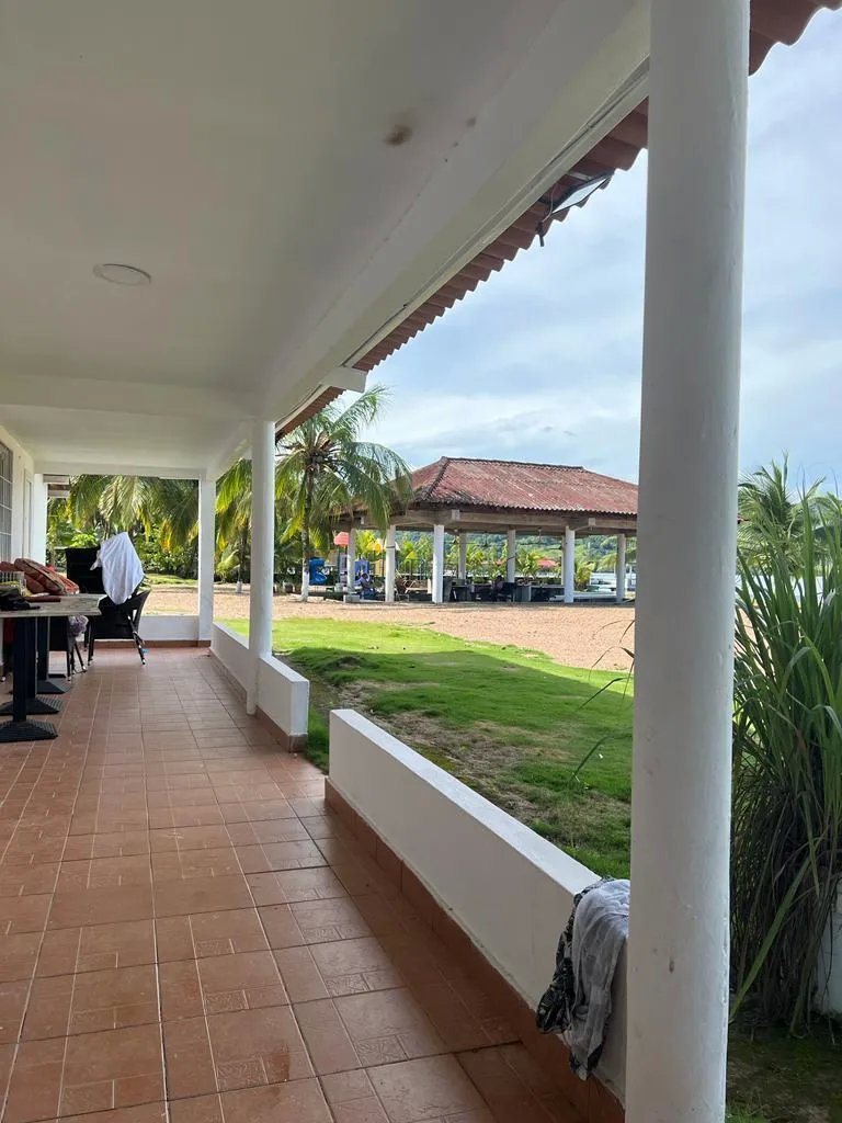 Agriculture For Sale in colón